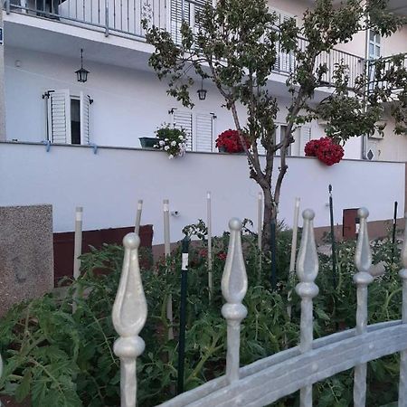 Apartment Bracic 沃迪切 外观 照片